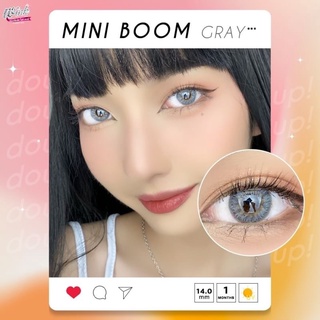 mini boom สีเทา eff.16 (Wink lens)