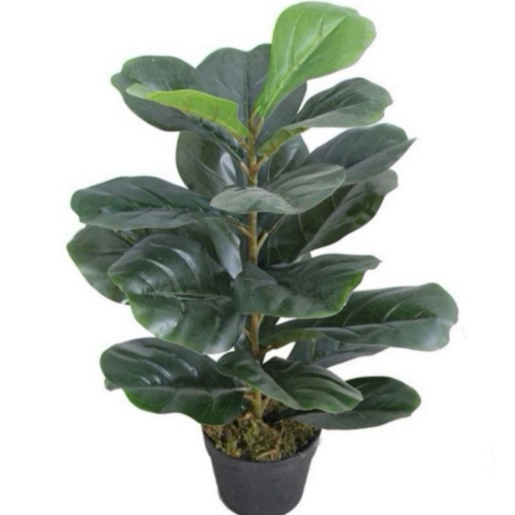 ต้นไทรใบสัก (fiddle fig leaf)​ สูง 65 CMต้นไม้ประดิษฐ์​ ต้นไม้ปลอม ต้นไทรราคาถูก ตกแต่งบ้าน ตกแต่งห้อง