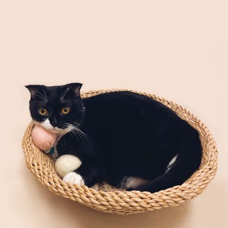 KAFBO Cat basket - ตะกร้าแมว ตะกร้าสานสำหรับแมว ที่นอนแมว ที่ลับเล็บแมว FREE!! Catnip!