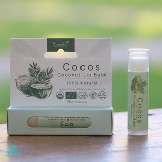 Buarada ลิปบาล์มน้ำมันมะพร้าว Cocos - Coconut Lip Balm ทำจากน้ำมันมะพร้าวสกัดเย็น | Coco บัวราดา ลิปบาล์มะพร้าว