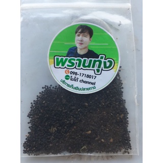 เมล็ดผักเสี้ยน100กรัม100บาทใหม่พร้อมปลูกพร้อมส่ง