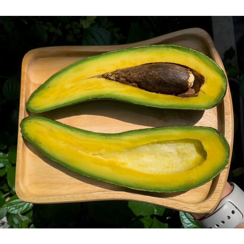 🥑อะโวคาโด 034 King of vietnam🥑 กิโลละ119 บาท