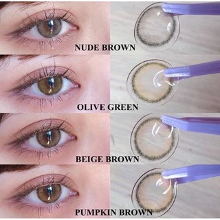 IDOLLENS ROZE AIRY 4 สี รายเดือน คอนแทคเลนส์เกาหลี DIA - 14.2mm