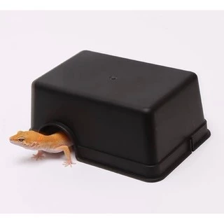 Hide Box ถ้ำซ่อนตัว สีดำ สำหรับสัตว์เลื้อยคลาน ให้อยู่ในสภาพแวดล้อมอย่างปลอดภัย ตุ๊กแก เก็คโค งู ตะขาบ แมงป่อง HIDE BOX🖤