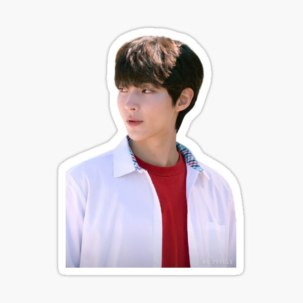 สติ๊กเกอร์ สติ๊กเกอร์กันน้ำ สติ๊กเกอร์ติดรถ แม๊กเนท แม่เหล็กติดตู้เย็น ตัวติดตู้เย็น Hwang In Yeop ฮ