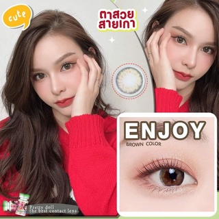 คอนแทคเลนส์ รุ่น Enjoy สีเทา/ตาล Gray/Brown มีค่าสายตา (0.00)-(-6.00)