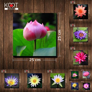 กรอบลอย ติดผนัง ภาพดอกไม้ ดอกบัว (ขนาด 25x25 ซม.)