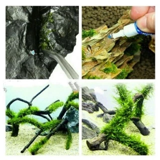 กาวติดไม้น้ำ กาวติดปะการัง กาวติดหิน instant glue 1/หลอด