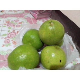 ส้มโอหวานเก็บมาจากสวนใหม่ๆปลอดสารพิษเก็บสดจากสวนคัดมาอย่างดี