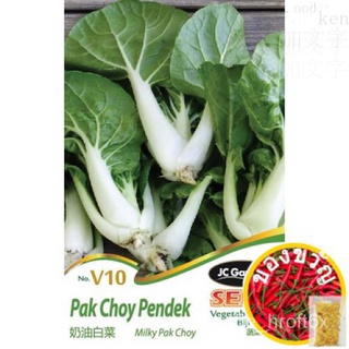 V10 Milky Pak Choy Vegetable Seeds// Biji Benih Pak Choy Pendek  ครีมกะหล่ำปลี [SEED]บ้านและสวน/เด็ก/ดอกไม้/แม่และเด็ก/ส