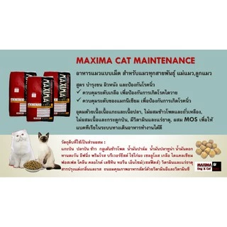 MAXIMA CAT MAINTENANCE 2 KG อาหารสำหรับแมว 2 กก. แถมฟรี อาหารเปียกแมว