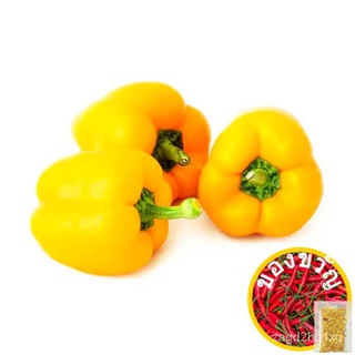 Yellow Sweet Bell Pepper Vegetable Seeds (50 seeds ) - Basic Farm Houseสร้อยข้อมือ/หมวก/ผักชี/บ้านและสวน/พาสต้า/ผักกาดหอ