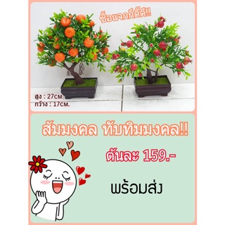 กระถางบอนไซส้ม  รหัสสินค้า TW143