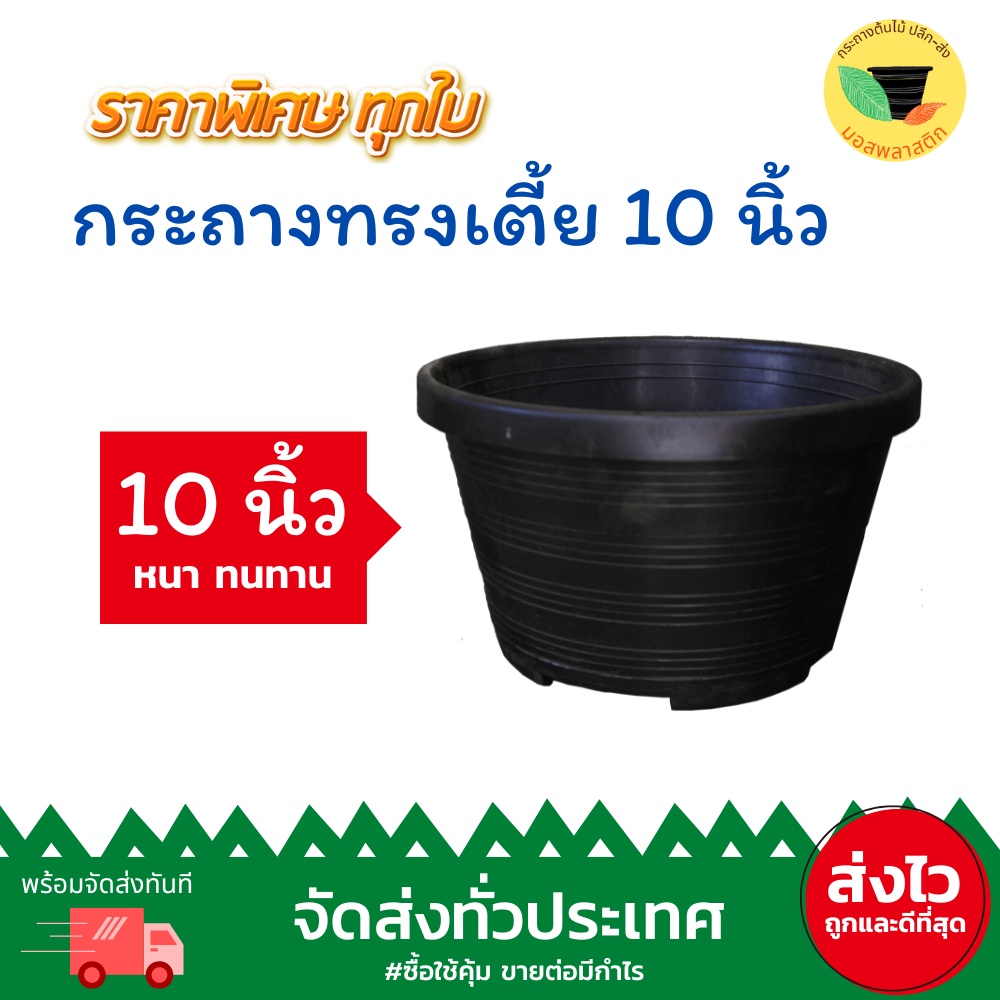 (เก็บโค้ดส่งฟรีหน้าร้านค้า) กระถางพลาสติกดำทรงเตี้ย 10 นิ้ว แพ็ค25 ใบ กระถาง 10 นิ้วเตี้ย กระถางทรงเตี้ย