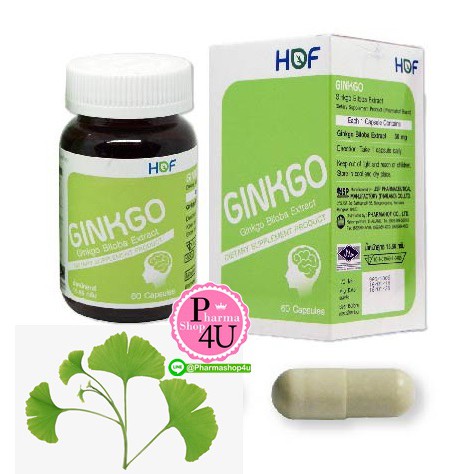 Pharmahof hof Ginkgo สารสกัดใบแป๊ะก๊วย 60 เม็ด Y-GInk วาย กิง Hof #4570