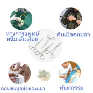 คีมห้ามเลือด คีมถอนขนหู เช็ดหู สุนัขและแมว,คีบเบ็ดตกปลา ฯลฯและแป้งถอนขนหูสุนัขและแมว