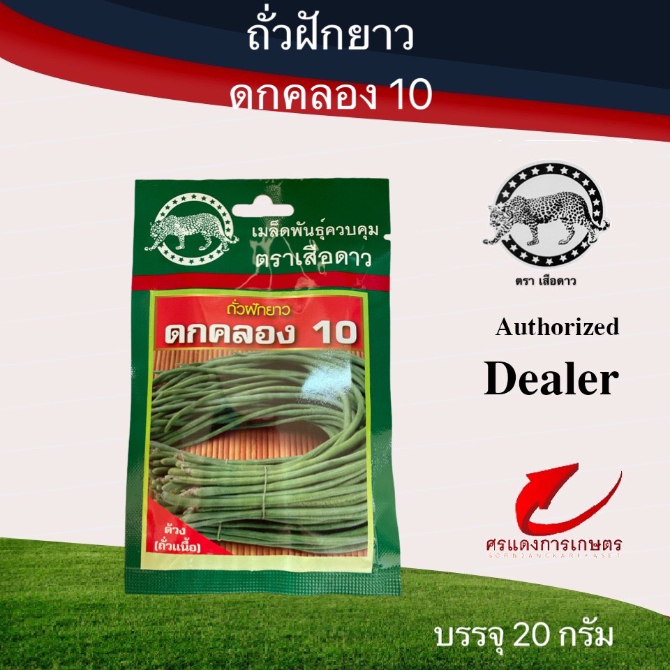 เมล็ดพันธุ์ ผักซองเล็กเสือดาวถั่วฝักยาวดกคลอง 10 – โปรปัง