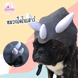 หมวกไดโนเสาร์สัตว์เลี้ยง หมวกสัตว์เลี้ยง หมาใหญ่  สุนัข เฟรนบลูด๊อก Pet Hat