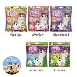 Catty cat ทรายเต้าหู้สำหรับแมว สูตรธรรมชาติ 100% ผลิตจากกากถั่วเหลืองธรรมชาติปราศจากส่วนผสมที่เป็นอัน  ขนาด 6 ลิตร