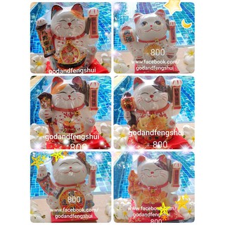 แมวกวักนำโชค 招き猫 Maneki Neko สีขาวมือกวักได้ ใส่ถ่าน มี 5 แบบให้เลือก ขนาด 8-9 นิ้ว