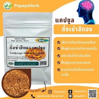 ถังเช่าสายพันธ์ุธิเบต (Cordyceps) 100%