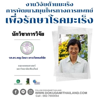 โดกุดามิ/dokudami ราคาพิเศษ 700 บาท สมุนไพร พลูคาว คาวตอง เข้มข้น 99.3%