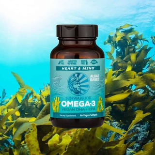 โอเมก้า-3 จากพืช  มังสวิรัติ, Algae-Based Omega-3, Vegan DHA + EPA, 60 Vegan Softgels
