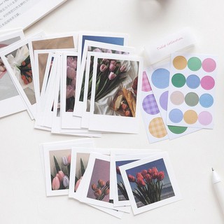 มีหลายลาย 63 ใบ รูปภาพ สติ๊กเกอร์ โฟโต้ Photography Notepad Photo Postcard Paper Note Diary อาร์ต ศิลปะ  ไดอารี่ โน้ต