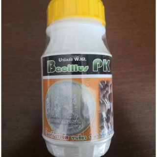 บาซิลลัส พี.เค. Bacillus PK ป้องกันกำจัด ราเขียว ราดำ เชื้อราโรคเห็ด (250กรัม)