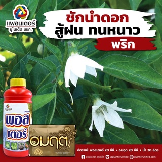 พอสเตอร์ ปุ๋ยเร่งดอก ติดผลดก 🌼 ต้นสมบูรณ์ สำหรับไม้ผลทุกชนิด สารราดโคนทุเรียนรักษา รักษาอาการรากเน่าโคนเน่า 1 ลิตร