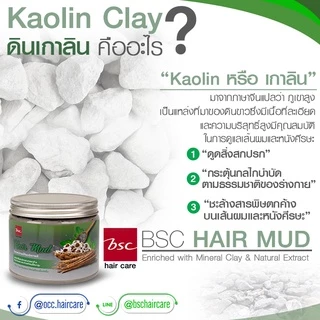 BSC hair care Hair Mud 400g (BECHNMB) โคลนหมักผมสำหรับล้างสารเคมีผม ดีท็อกซ์ & บำรุงในหนึ่งเดียว
