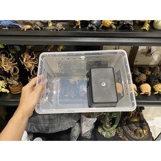 Hide Box ถ้ำซ่อนตัว สีดำ สำหรับสัตว์เลื้อยคลาน ให้อยู่ในสภาพแวดล้อมอย่างปลอดภัย ตุ๊กแก เก็คโค งู ตะขาบ แมงป่อง HIDE BOX🖤