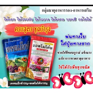 ครบชุดบำรุงต้น ⚡️เทรซแม็กซ์+ออสโมโค้ท 13-13-13ธาตุอาหารรอง-ธาตุอาหารเสริม ทำให้ต้นแข็งแรงสมบูรณ์ ฮอร์โมนพืชปุ๋ยละลายช้า