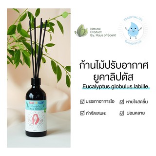 น้ำหอมในห้อง ยูคาลิปตัส EUCALYPTUS ก้านไม้หอม อโรม่า ก้านไม้กระจายกลิ่น ทำจากน้ำมันหอมระเหยแท้   HAUS OF SCENT