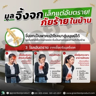 ถาดกาวดักหนู 1 กล่อง 48 แผ่น (24 คู่) สถานีกล่องดักหนู เหยื่อหนู กาวเหนี่ยวหนึบ ใช้งานง่าย สะดวก