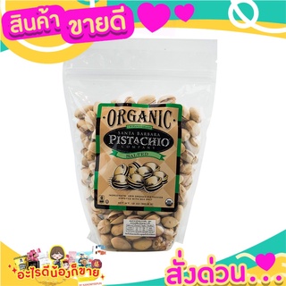 🌞ฺBest🌞 SANTA PISTACHIO SALTED ORGANIC 340 G. ส่งด่วน🥫🧂🍫