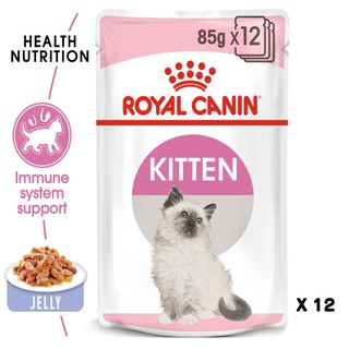 Royal Canin Kitten Pouch Jelly โรยัลคานิน สำหรับลูกแมวอายุ 4-12เดือน (เยลลี่) x 12ซอง