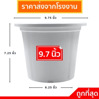 กระถางต้นไม้พลาสติก
 กระถาง
 กระถางปลูกต้นไม้ 9.7 นิ้ว 9 นิ้ว 10 นิ้ว สีขาว