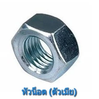 สกรูตัวยาว พิเศษ หัวกลมแฉก (+) สกรูร้อยมอเตอร์