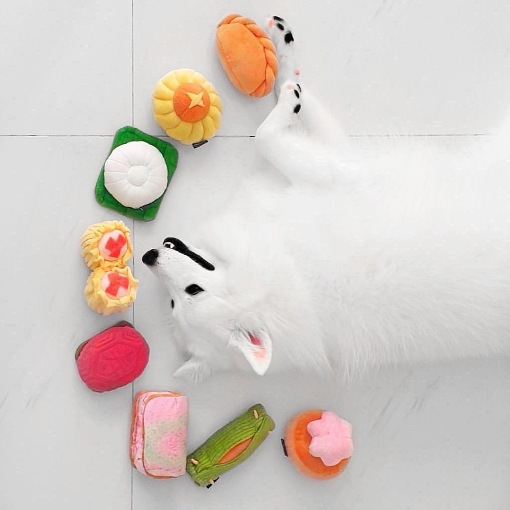 Furball Collective Local Kueh Squeaker Chew ของเล่นสําหรับสัตว์เลี้ยง