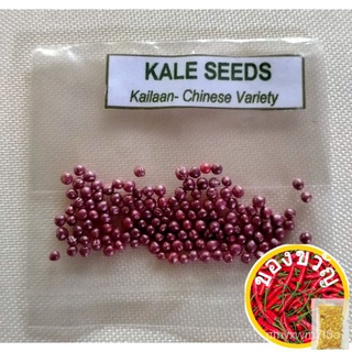  Seeds 50 seeds (not live plants)เมล็ดเชีย เมล็ดกุหลาบ เมล็ดดอกไม้ เมล็ดดอกดาวเรือง เมล็ดต้นอ่อนทานตะวัน เมล็ดถั่วแระญี่