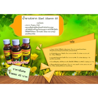 น้ำยาเร่งราก  Vitamin B-1 อุดมด้วยวิตามินB1 เพิ่มธาตุเหล็กและฟอสเฟส 100cc.ต่อขวด ขวดแก้ว เร่งราก-กิ่งตอน-กิ่งชำ