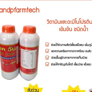 แพควัน (1ขวด) วิตามินและกรดอะมิโนโปรตีนรวมเข้มข้น ชนิดน้ำ