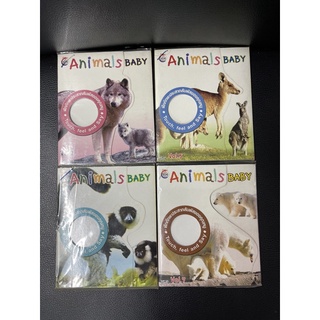 vcd Animals baby ฝึกทักษะประสาทสัมผัส เด็ก หมาป่า จิงโจ้ ลีเมอร์ หมีขั้วโลก พัฒนาการเด็ก การ์ตูน สารคดี