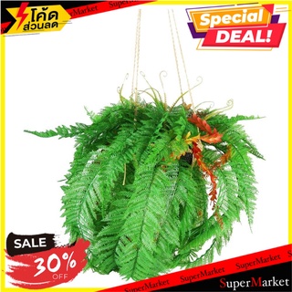 กระเช้าเฟิร์นประดิษฐ์ SPRING TY-H02 ต้นไม้ประดิษฐ์ ARTIFICIAL FERN WITH HANGING BASKET SPRING TY-H02 อุปกรณ์ตกแต่งสวน