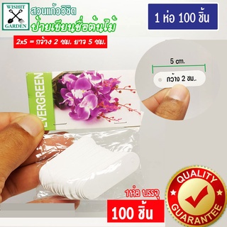 ป้าย Evergreen 1 ห่อ บรรจุ 100 ชิ้น ป้ายชื่อต้นไม้ขนาดเล็ก ป้ายเขียนชื่อต้นไม้ ใช้ดินสอเขียนได้