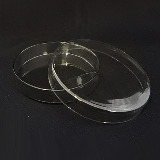 จานเพาะเชื้อแก้วขนาด 100 x 20 mm. (Petri Culture Dish Dia. 100 x 20 mm)