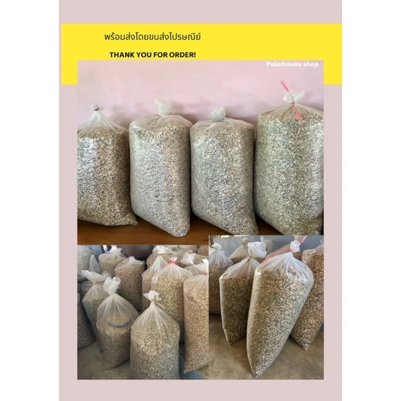 พร้อมส่ง! ผักตบชวาตากแห้ง ผักตบชวากันกระแทก ผักตบชวารองกรงสัตว์เลี้ยง ผักตบชวาแห้ง ผักตบชวาท่อน thumbnail 5