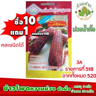 (ซื้อ10แถม1) เมล็ดพันธุ์ ข้าวโพดหวานม่วง น้ำผึ้ง Purple Sweet Corn ประมาณ 30เมล็ด 3A สามเอ ผักสวนครัว เมล็ดพันธุ์พืช