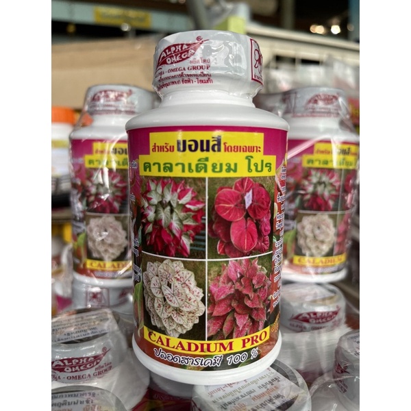 คาลาเดียม โปร สำหรับบอนสีโดยเฉพาะ ปลอดสารเคมี 100%